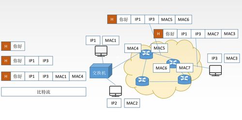 计算机网络 体系结构